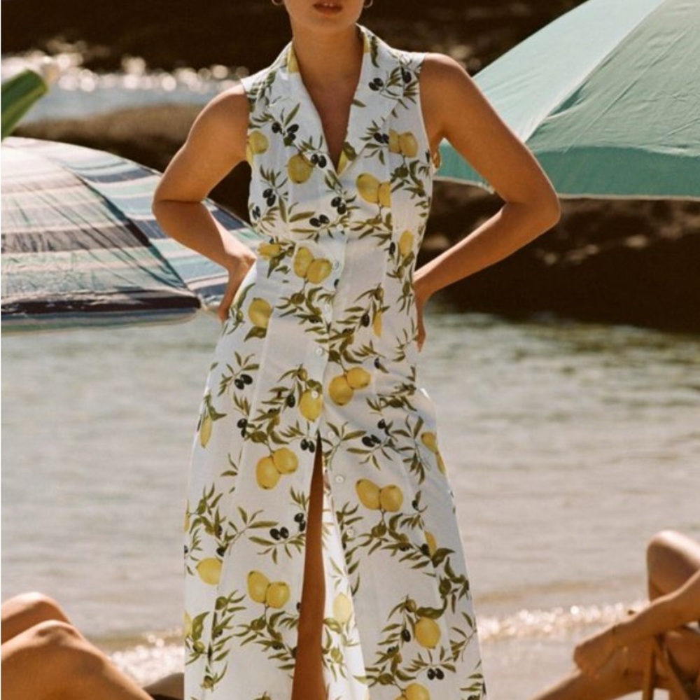 ISO Rouje Fauve Lemon Print Sleeveless Dress size 38